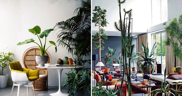 crunchylipstick: Indoor gardens (via honestlywtf.com)