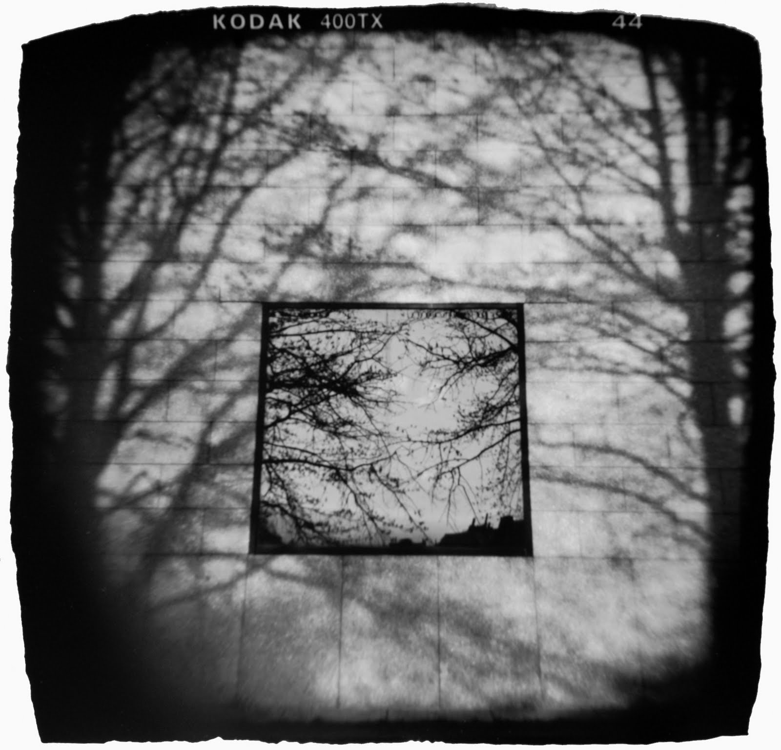 Michelle Bates Photography