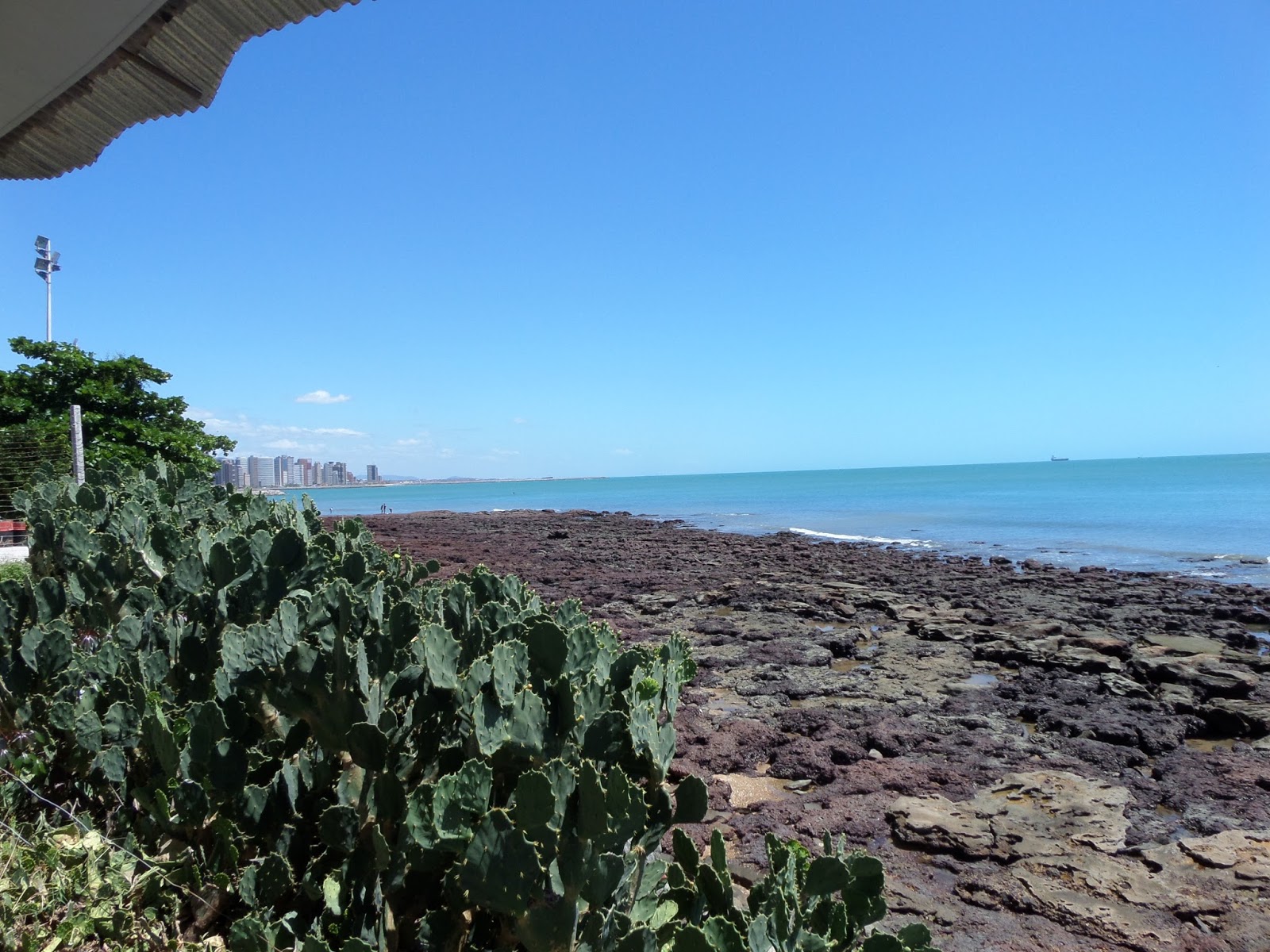 Download Sode strand billede ideer HD