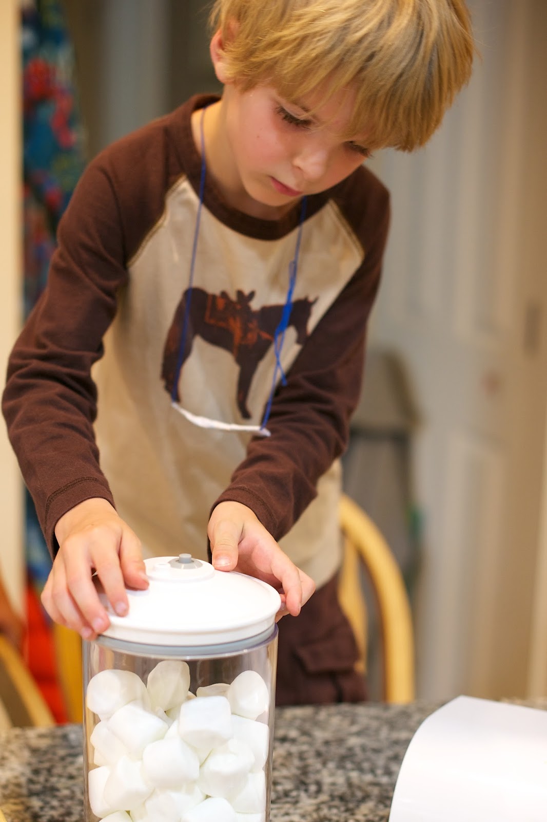 Life at the condo Totally Irresponsible Science Marshmallows on Steroids