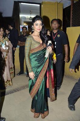 Actress Shriya Saran in Hot Saree Photos Gallery
