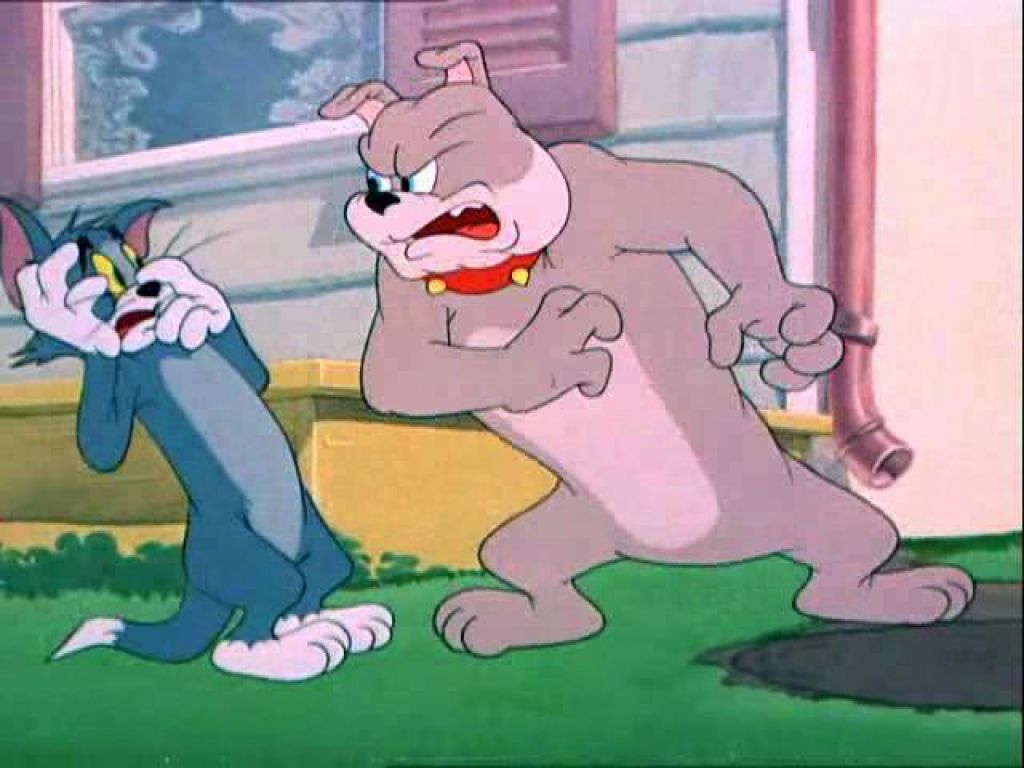 Best Profile Pictures: Tom & Jerry Pictures