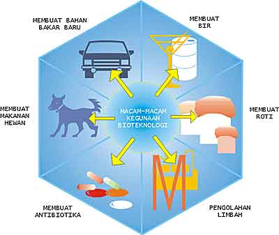 BELAJAR YUK!: Belajar Tentang Bioteknologi 2