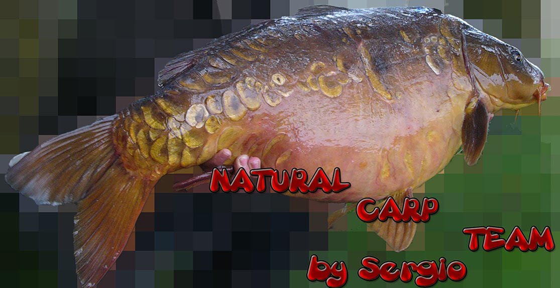 NATURAL CARP TEAM by Sergio