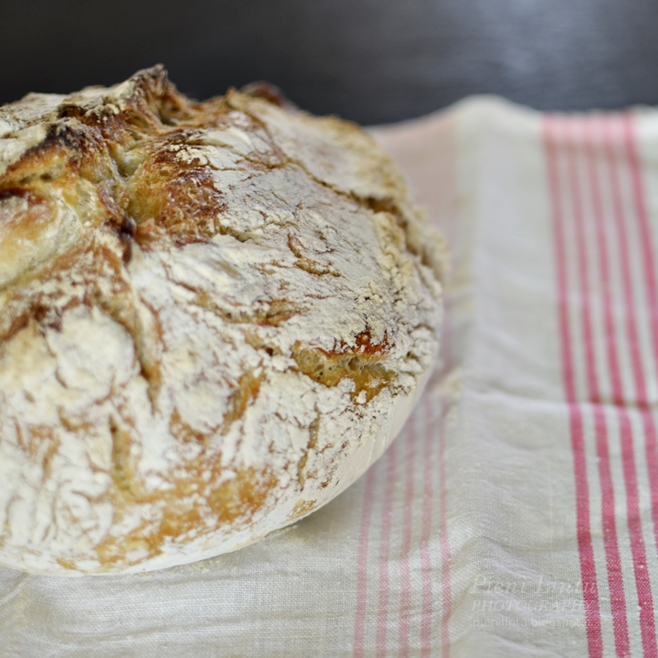 Pieni Lintu Baking for dummies Easy bread recipe