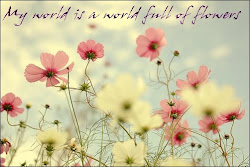 Dream world full of flowers. ♥' !