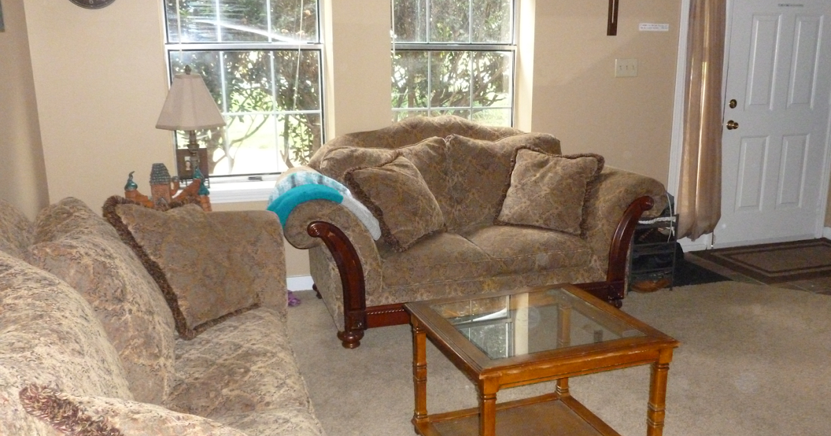 Nashville Wife "New" Couches