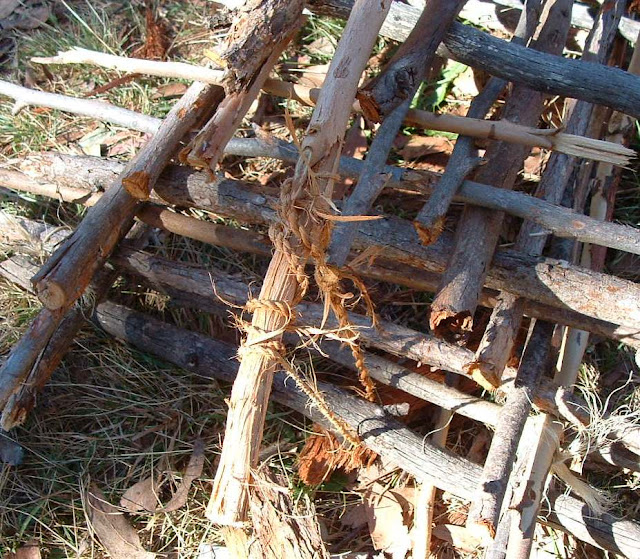 [Imagem: Cage+trap+002.JPG]