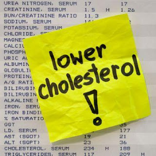 cholesterol and heart, cholesterol heart, cholesterol in the heart, heart cholesterol, cholesterol and the heart, cholesterol in heart, cholesterol in heart, heart and cholesterol