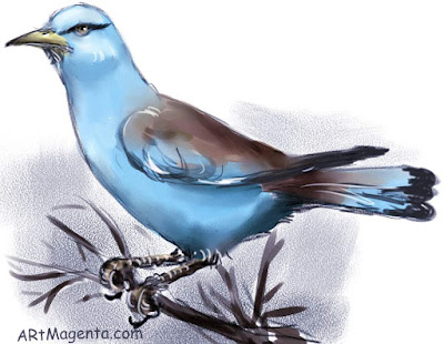 European Roller is a bird sketch by artist and illustrator Artmagenta
