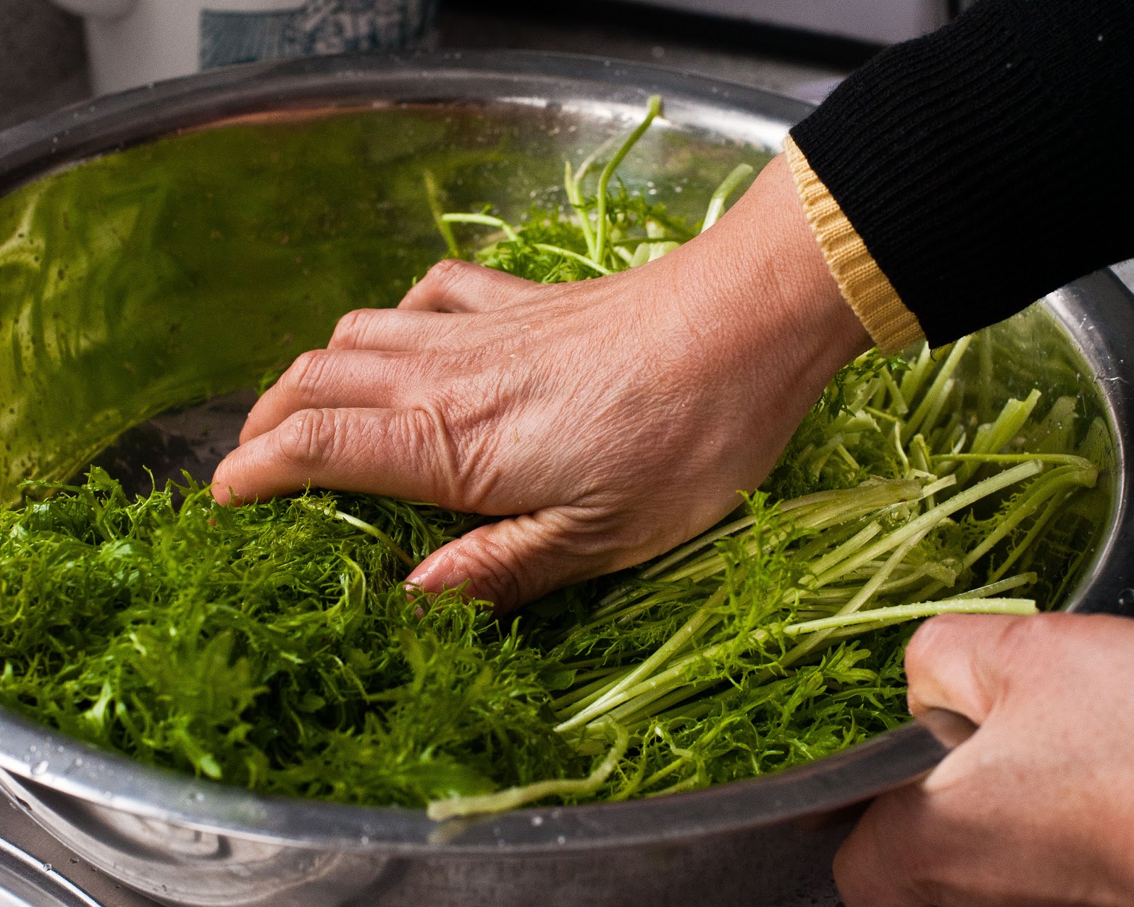 Life on Nanchang Lu Chinese Preserves and Pickles SaltPreserved