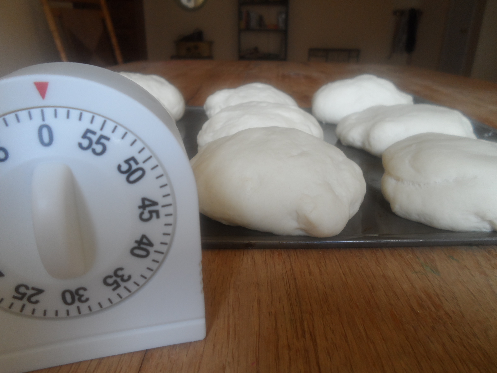 R Homeschool Homemade Hamburger Buns using your Bread Machine