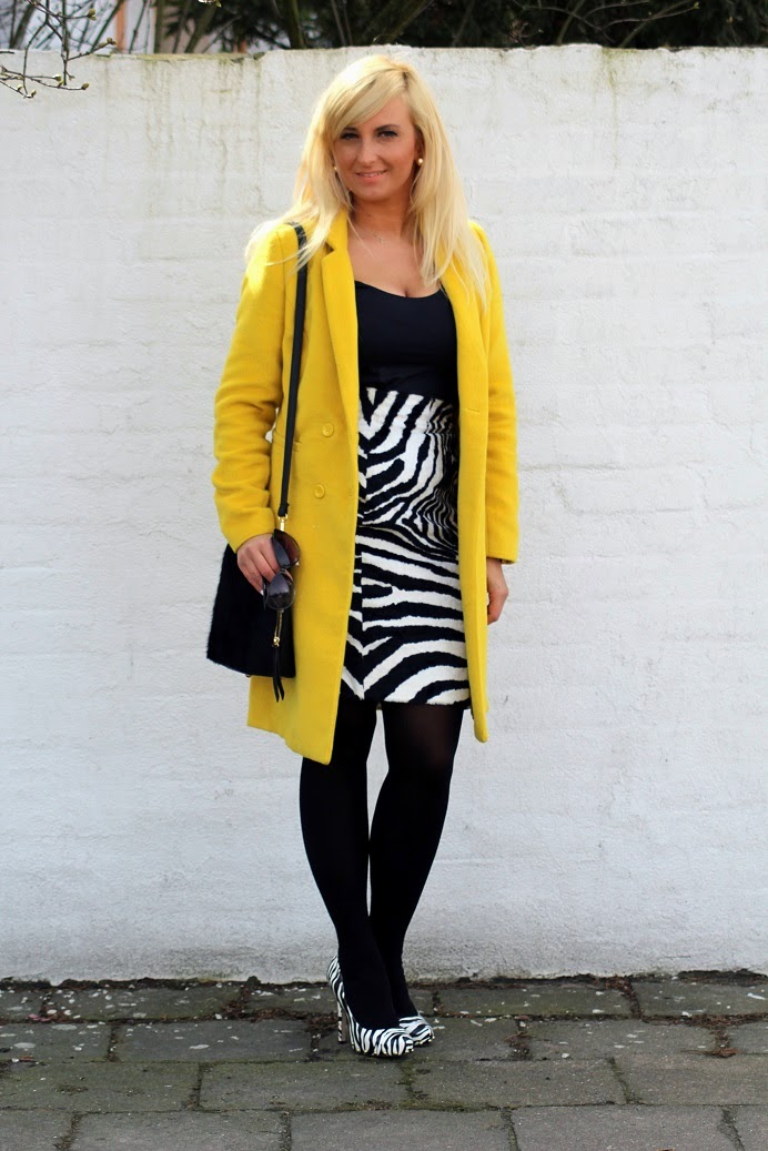 zebra6.jpg