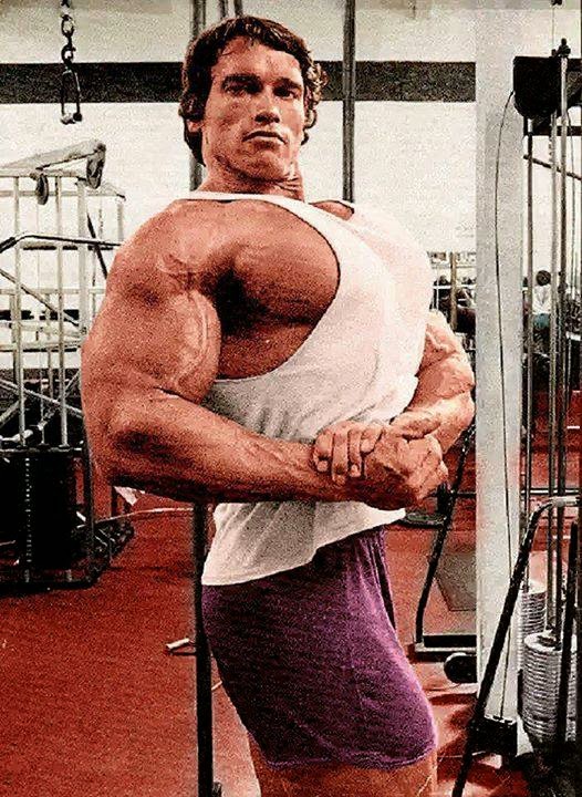 Arnold's Chest Day Bodybuilding and Fitness Zone