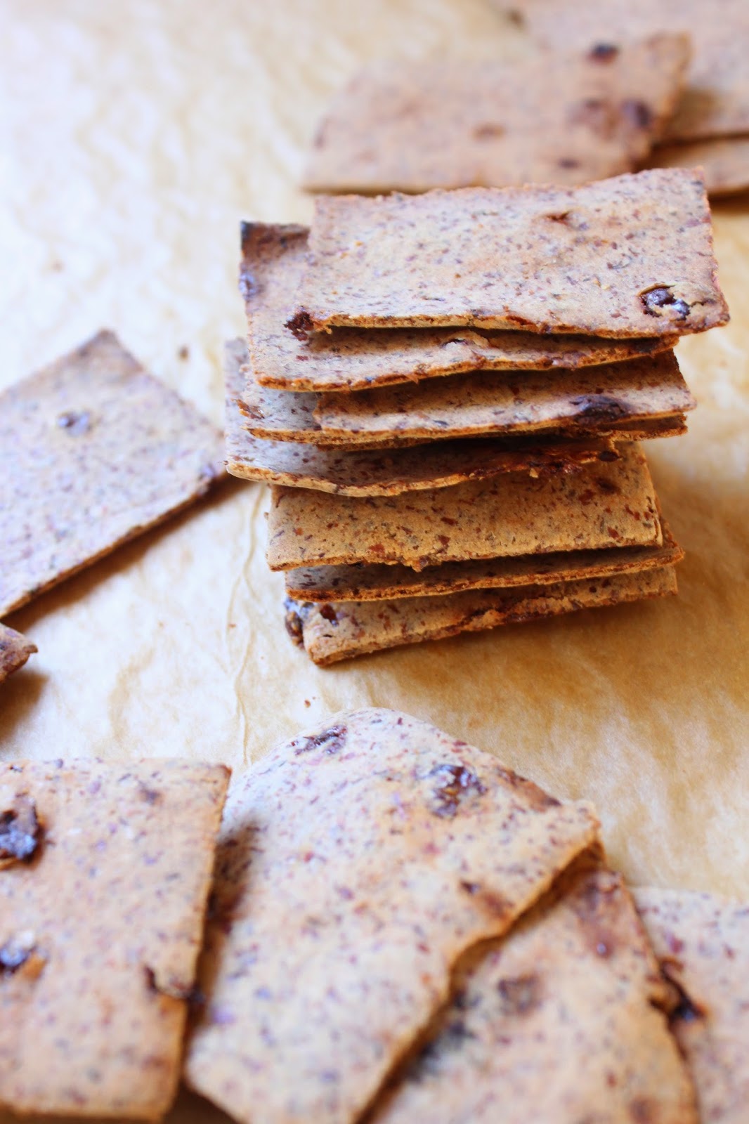 Fancy Food Thoughts Almond Pulp Cinnamon Raisin Crackers Grain Free