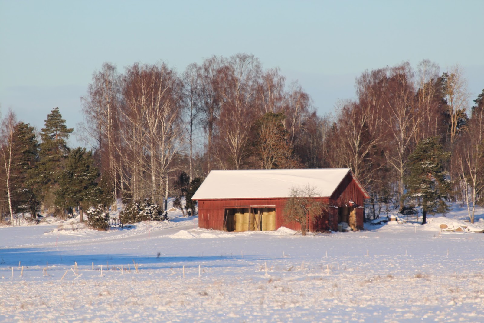 Kotteland & fridhemsparadiset: februari 2016