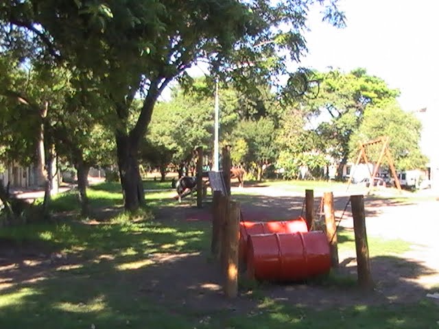 Imagenes del paseo