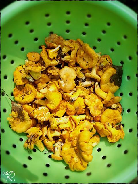 wakacje z włóczką wakacje z włóczką