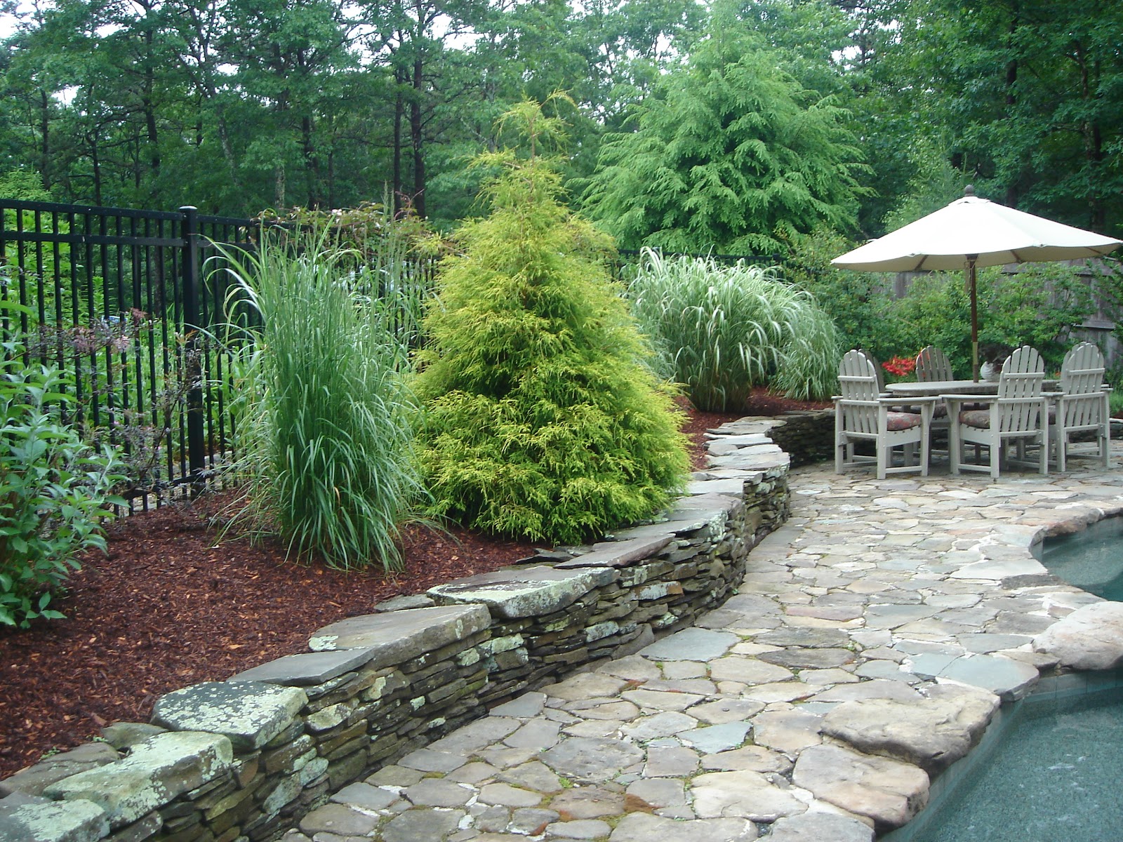 The Country Nest: My Gardens