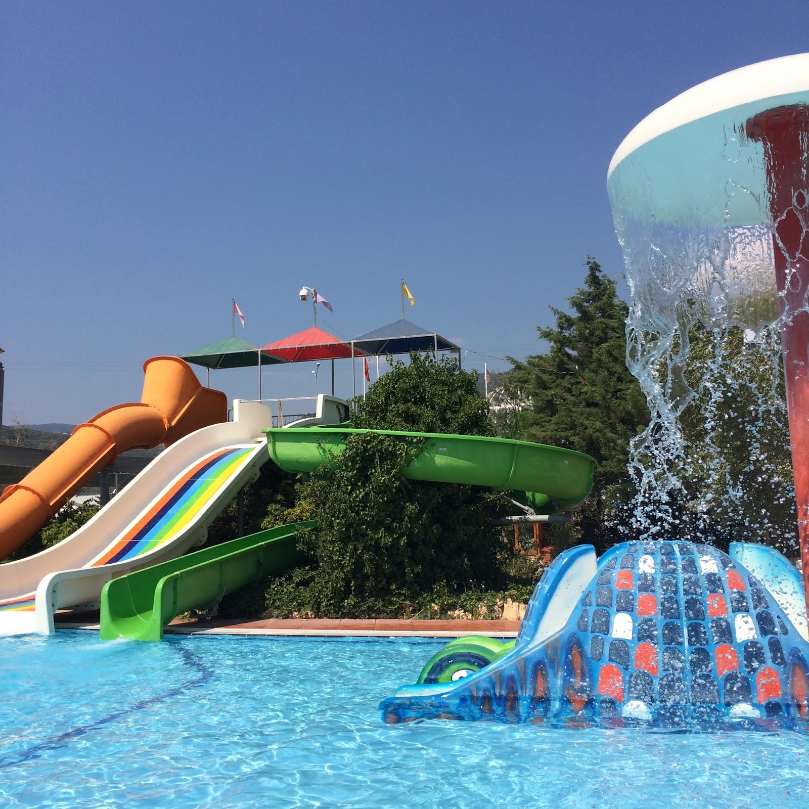 gezgicler aqua olive park altinoluk