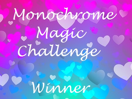 Chosen Winner at Monochrome Magic