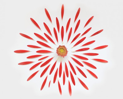 slide 292220 2342397 free