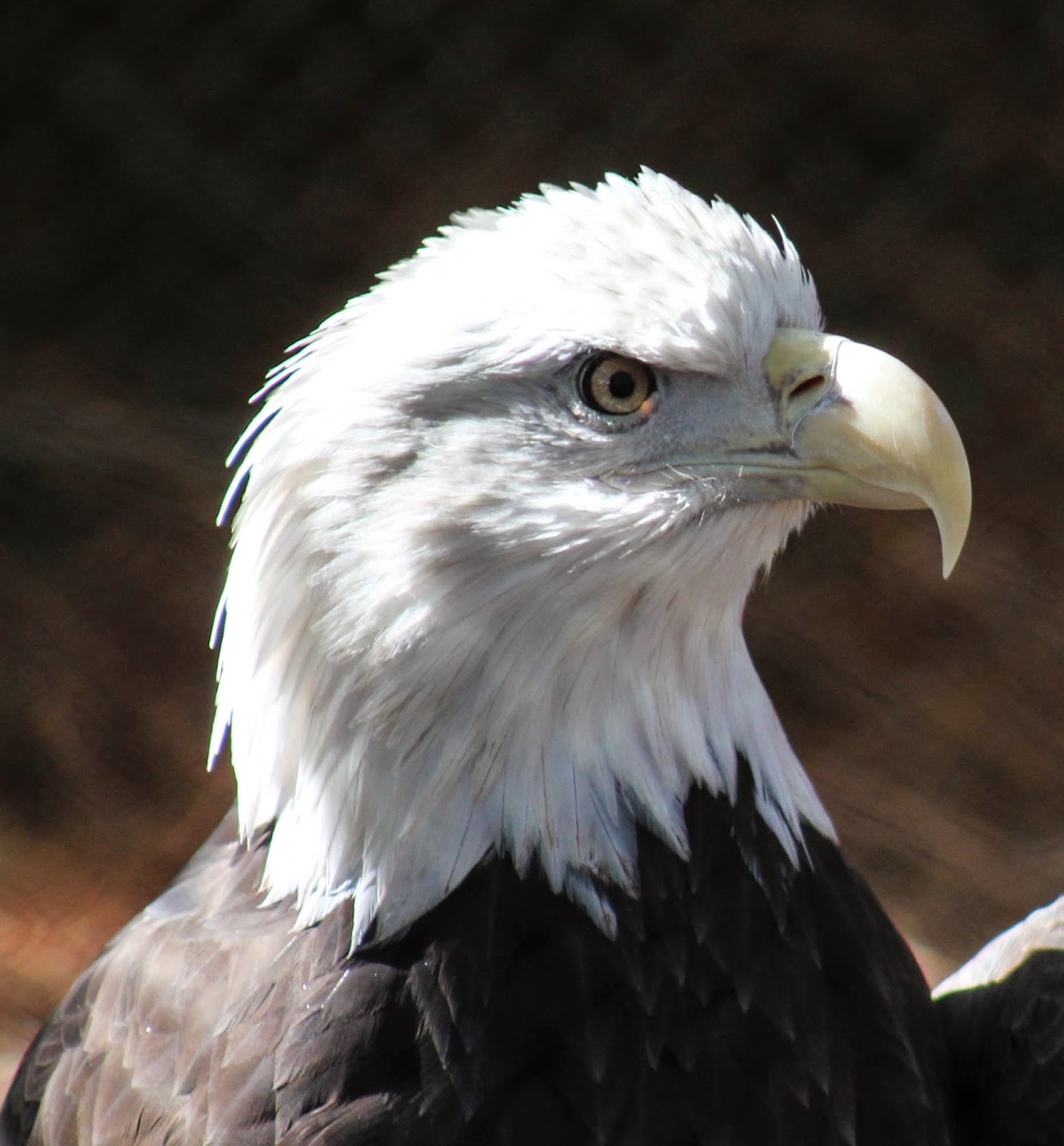 Life with Dylan: January 2014