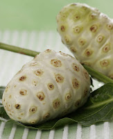mengkudu, buah mengkudu, manfaat buah mengkudu, gambar buah mengkudu