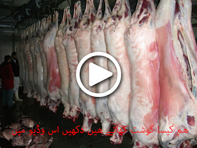 Rats found in mutton at pakistan Rats found in mutton at pakistan