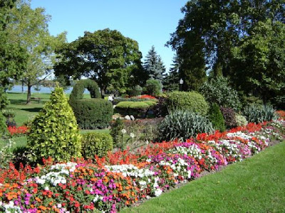 Beautiful Flowers