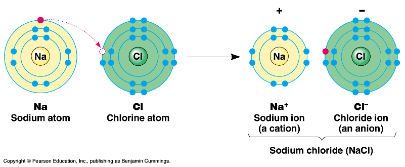 Chemical Bond Example