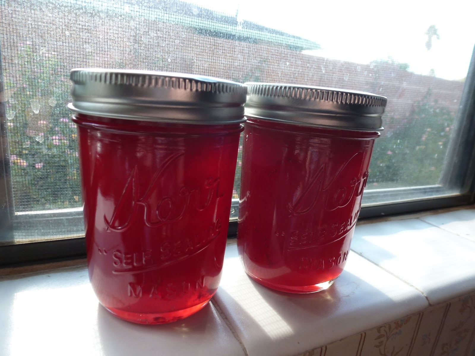 Sudden Bursts of Eccentricity Pomegranate Frenzy How to Make