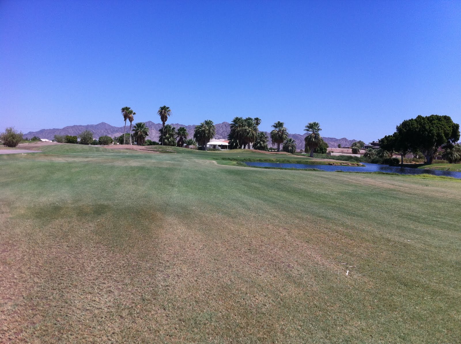 Arizona Golf Blog