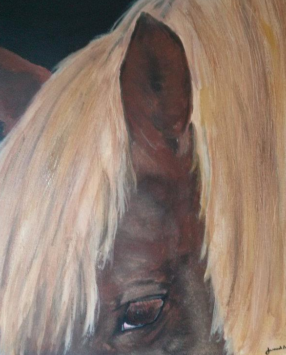 Paws in Paint Pet Portraits Gallery