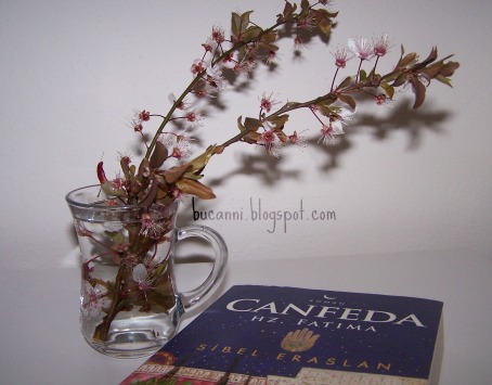 Canfeda Can Yucel Fiyati Satin Al Idefix