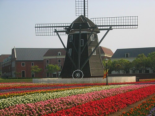 El rincón de Davis: Exportar con el Reino de los Países Bajos (Holanda)
