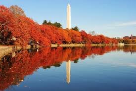 washington memorial