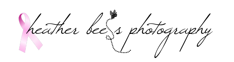 heather bee's photography