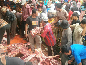 Qurban 2012