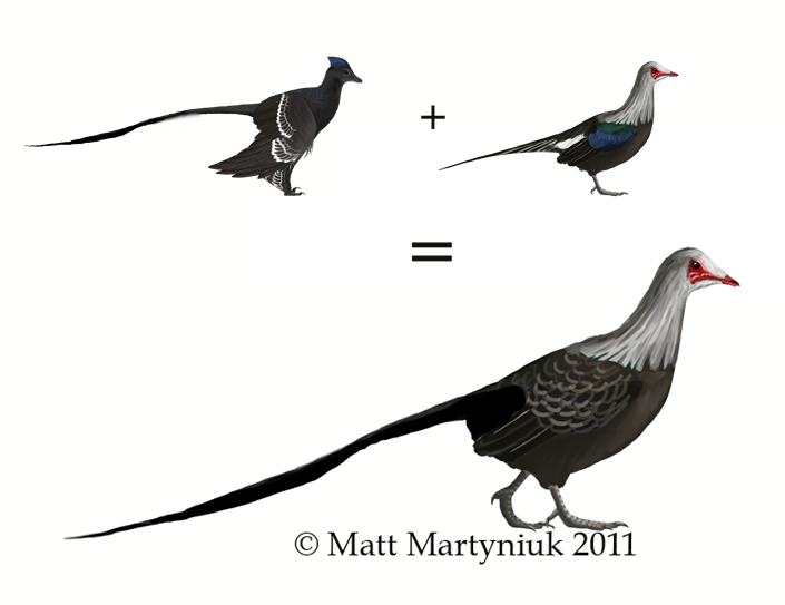 DinoGoss An Alternate History for "Archaeoraptor"