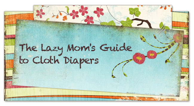 The Lazy Mom's Guide to Cloth Diapers