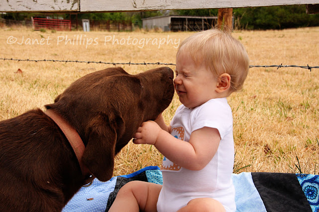 Dog Biting Me But Nobody Else Dog Biting Me But Nobody Else