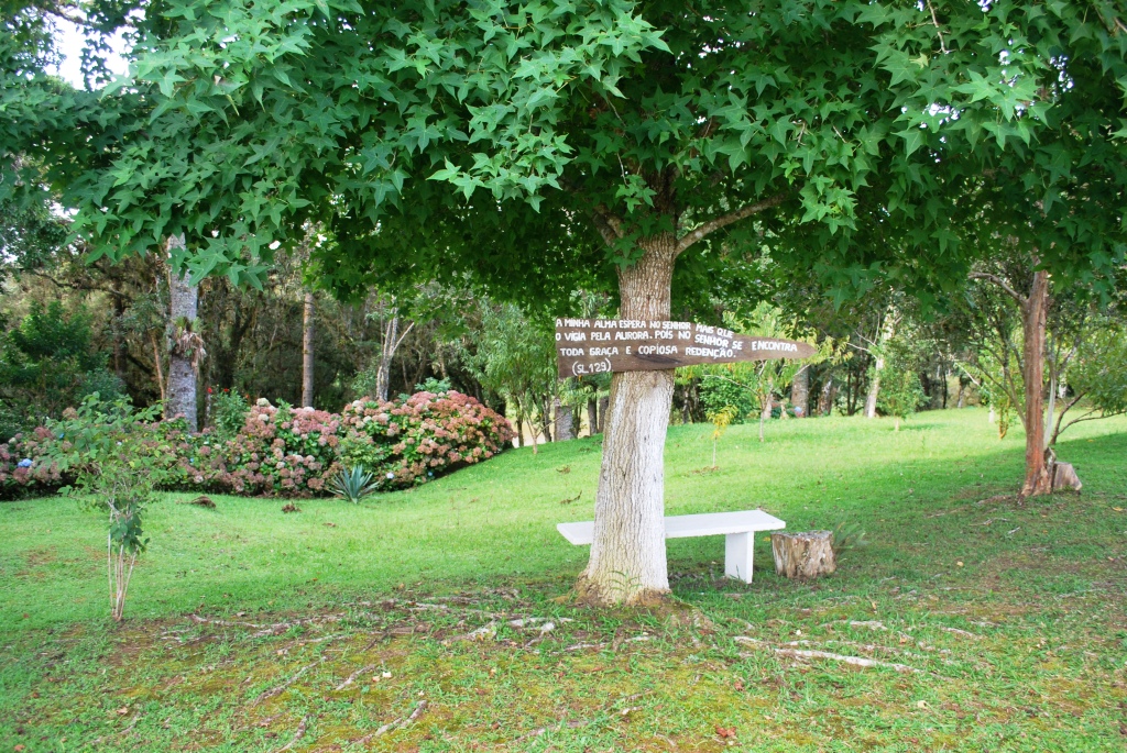 banco de jardim frases:Existe um caminho no meio do sítio que é chamado de Via Sacra, eu banco de jardim frases:Existe um caminho no meio do sítio que é chamado de Via Sacra, eu