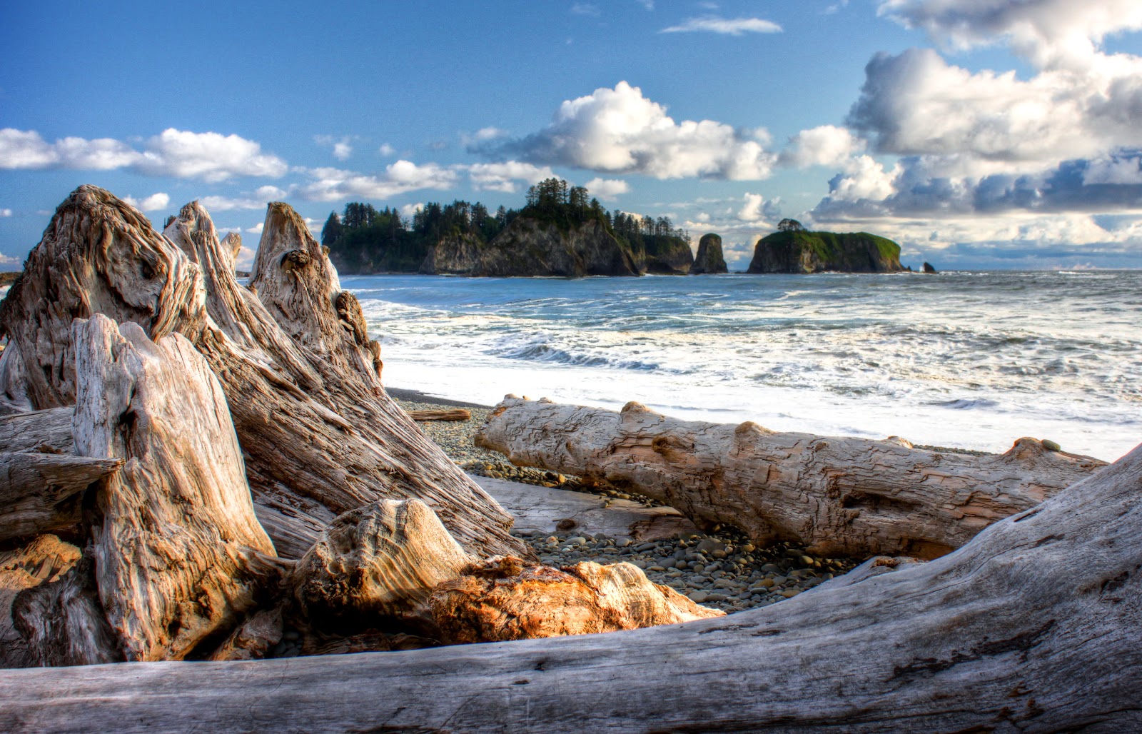 Best Beaches In Washington State For Kids Best Beaches In Washington State For Kids