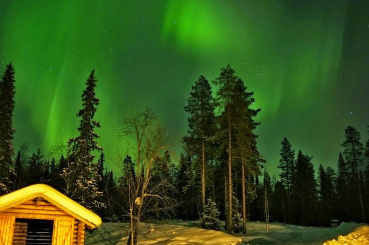 Go Skiing in Oulanka National Park in Finland Go Skiing in Oulanka National Park in Finland