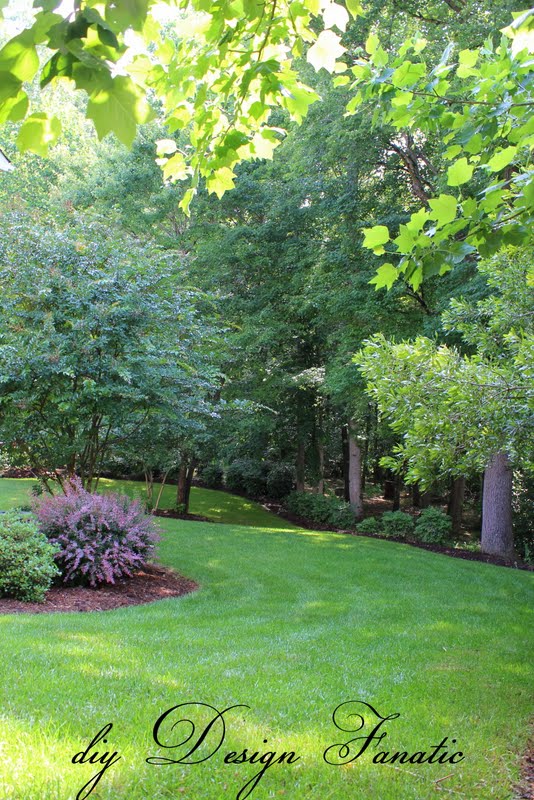 i can t remember the name of the taller pink