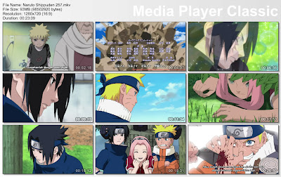 NARUTO SHIPPUDEN EPISODE 257 SUBTITLE BAHASA INDONESIA