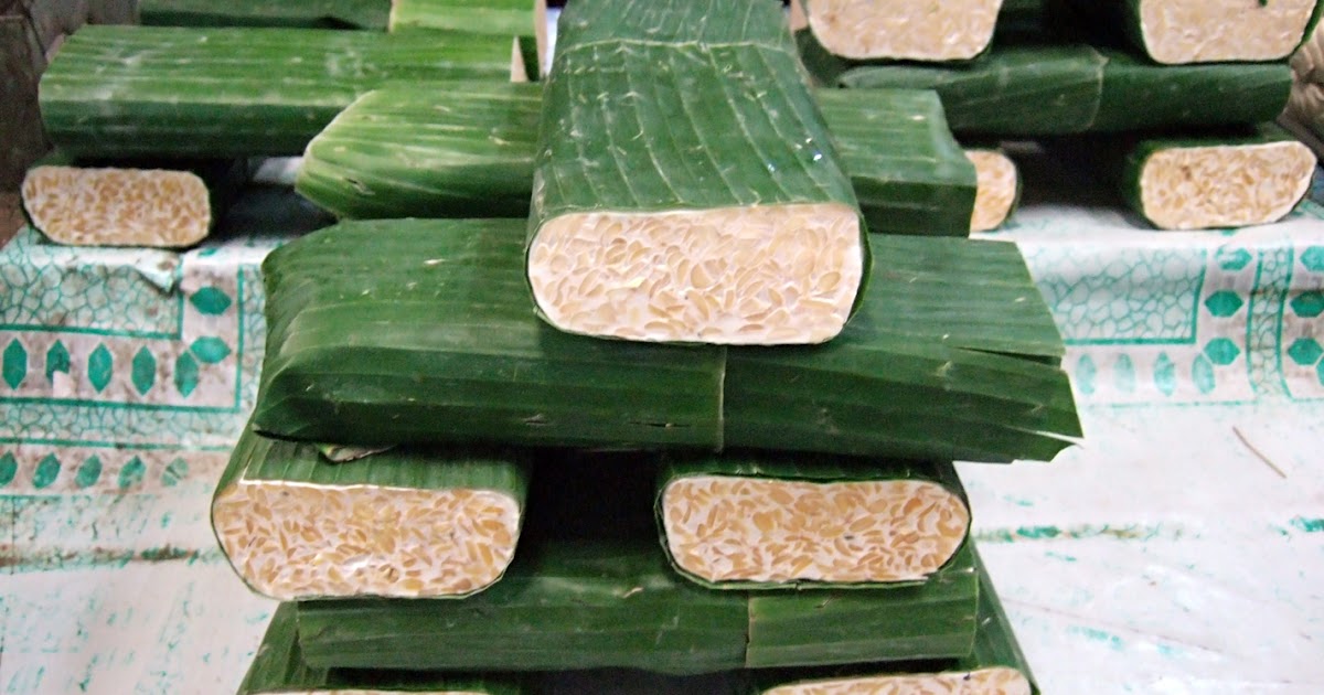 Hardy Satrio Krisis Tempe atau Mental Tempe?