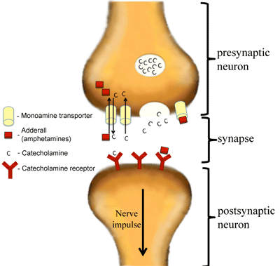 Dianabol in capsules