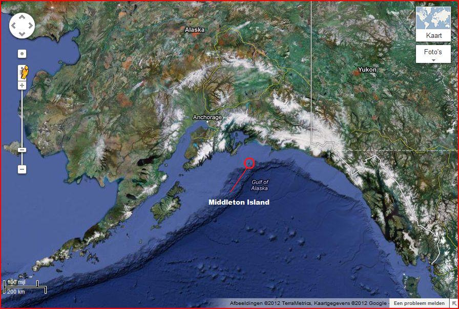 Middleton Island, Gulf of Alaska The Tree Swallows